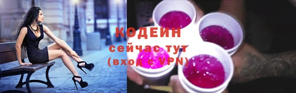 винт Костерёво