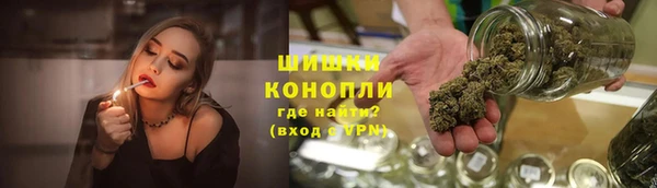 винт Костерёво