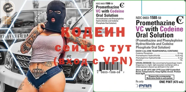 сатива Козельск