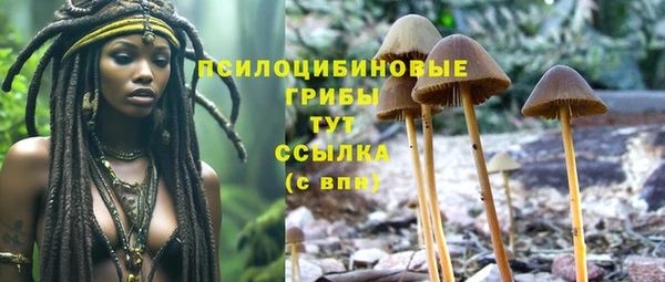 прущие грибы Киренск